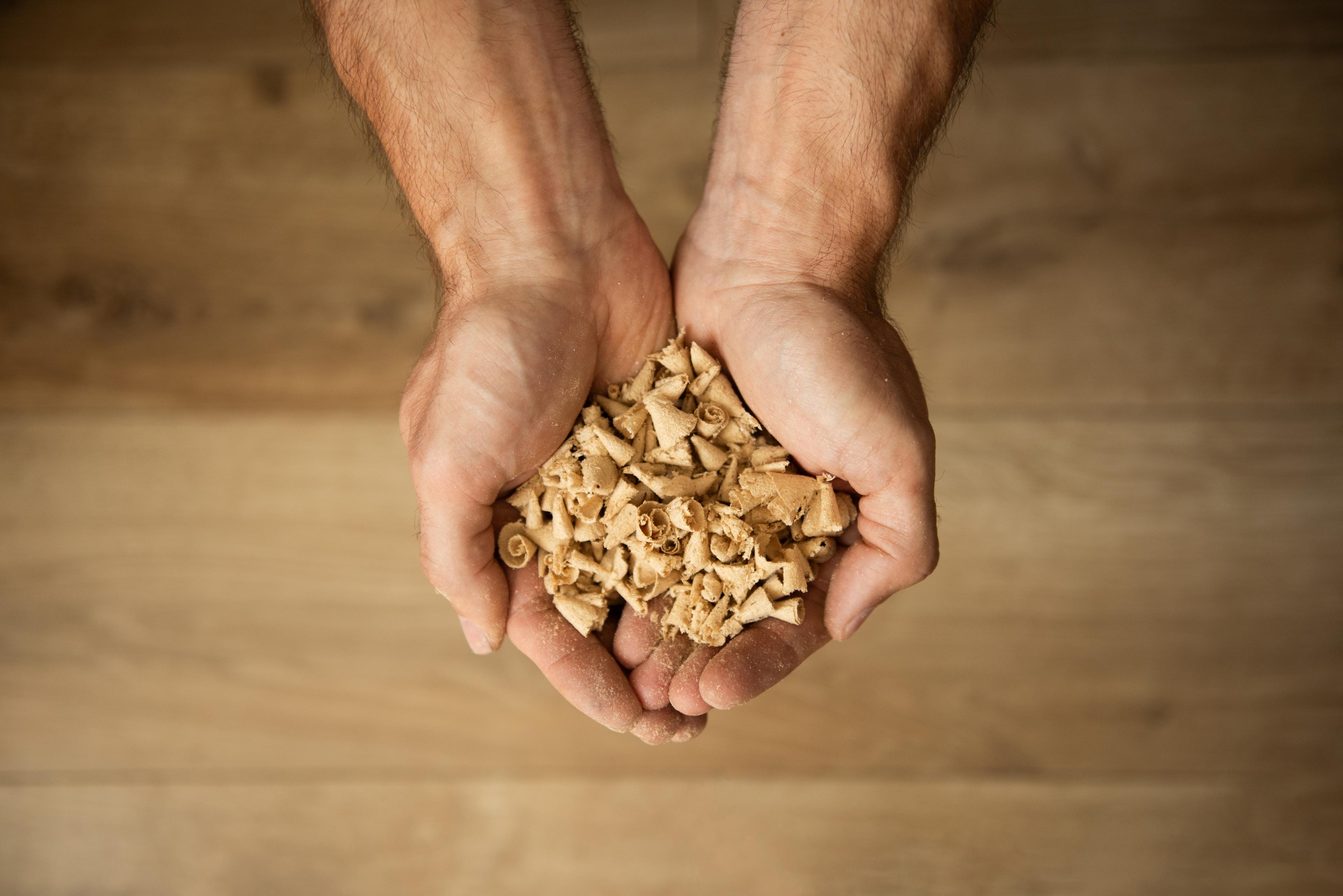Photo of a tree stump